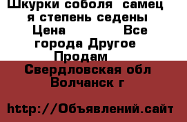 Шкурки соболя (самец) 1-я степень седены › Цена ­ 12 000 - Все города Другое » Продам   . Свердловская обл.,Волчанск г.